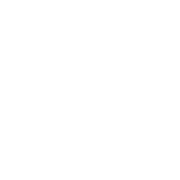 عام الإبل 2024 The Year of Camels