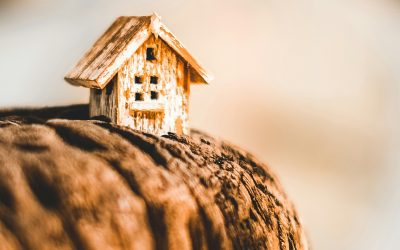 A Call to All Young Entrepreneurs: Leverage for Your Small Home Based Business